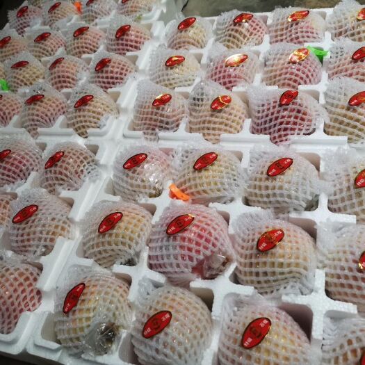 西安临潼石榴  自家果园，自产自销，现摘现发，新鲜快捷！