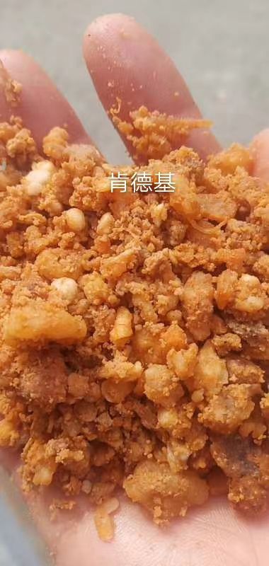 正定县油渣  肯德基渣