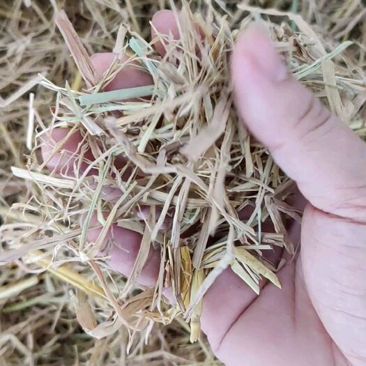 宁远县稻草现货供应