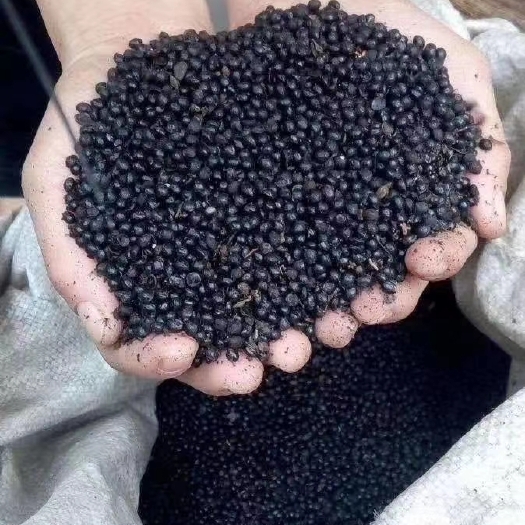 西安花椒籽 蛋白1肪20