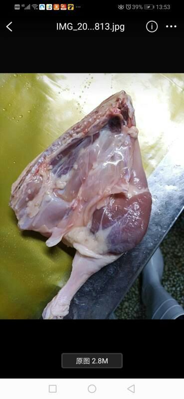 鸭腿  鸭边腿（一级/断的/皮炎的）