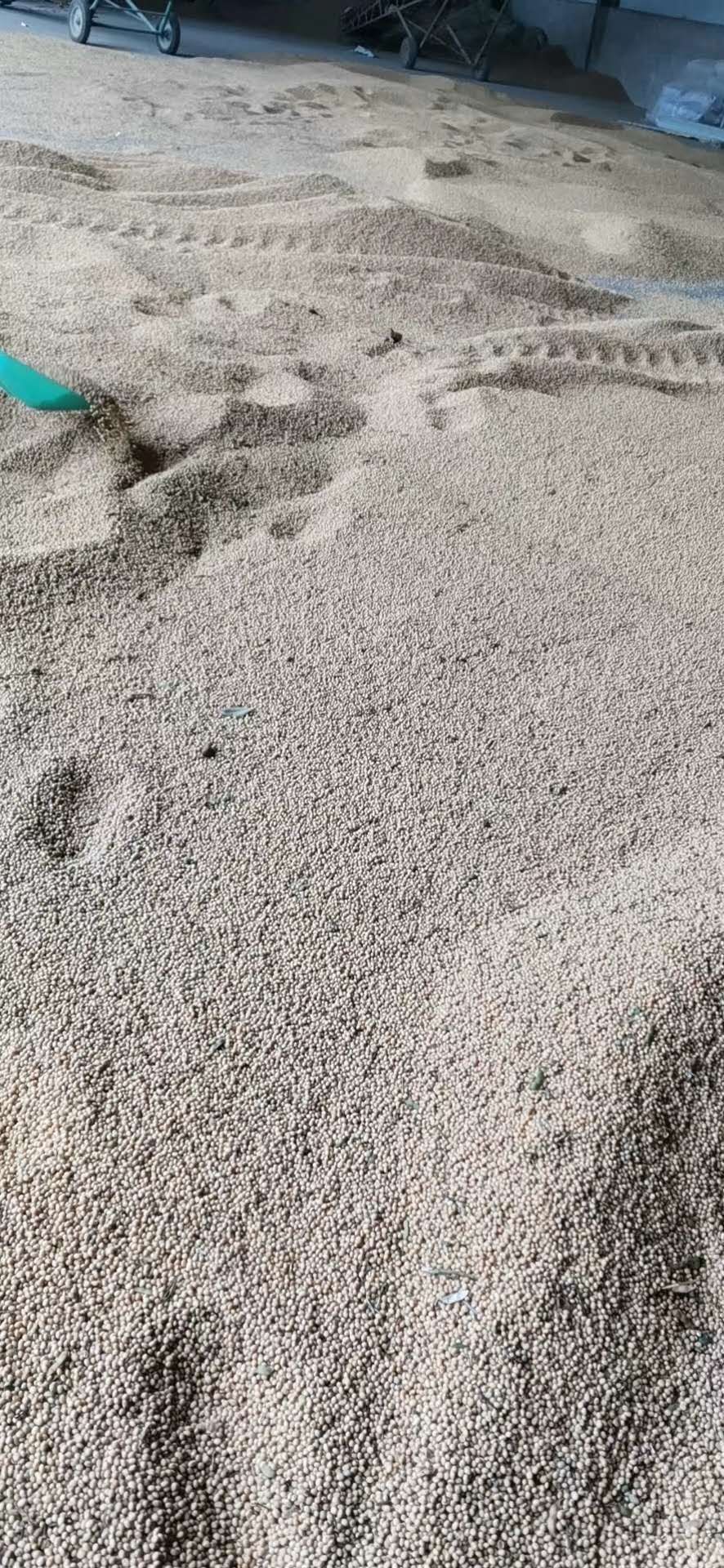 小黄豆  精选黄豆，大量有货，豆制品专用，欢迎全国客商前来采