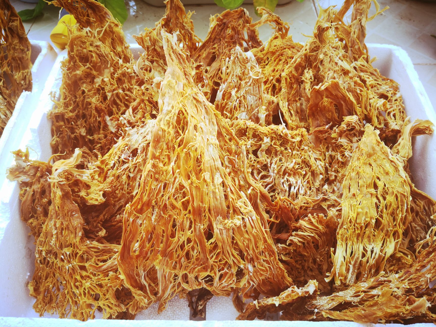 云南普洱山苦筍，筍干