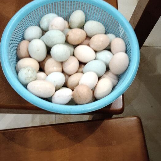 南昌土鸡蛋 食用 简包装 