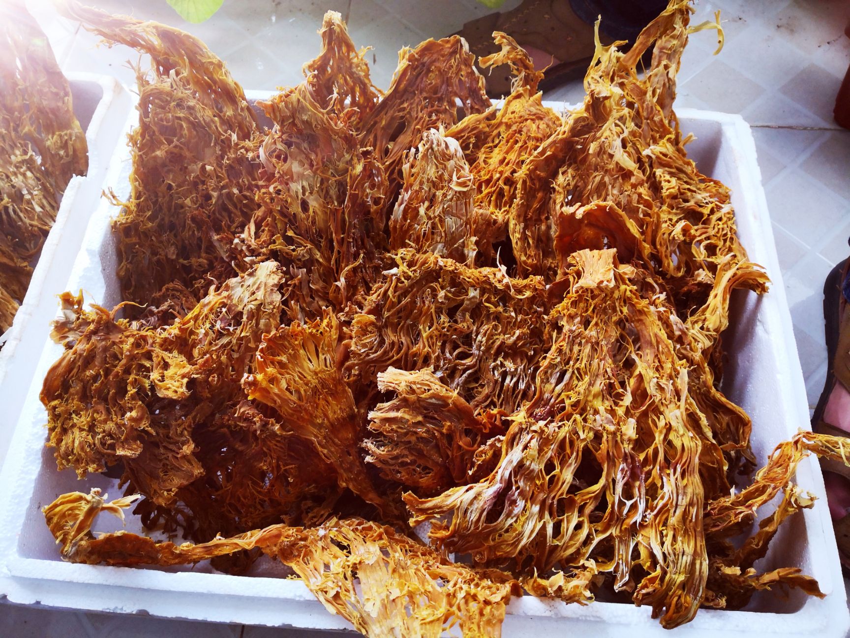云南普洱山苦筍，筍干