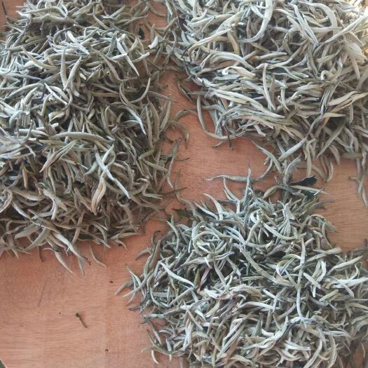 景东县高山绿茶  普洱茶