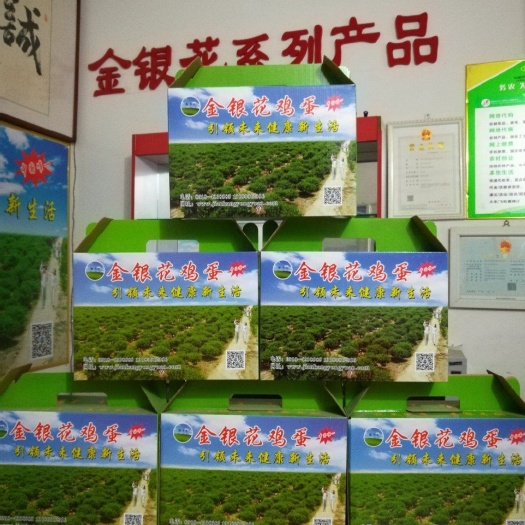 景县鸡蛋 食用 礼盒装 