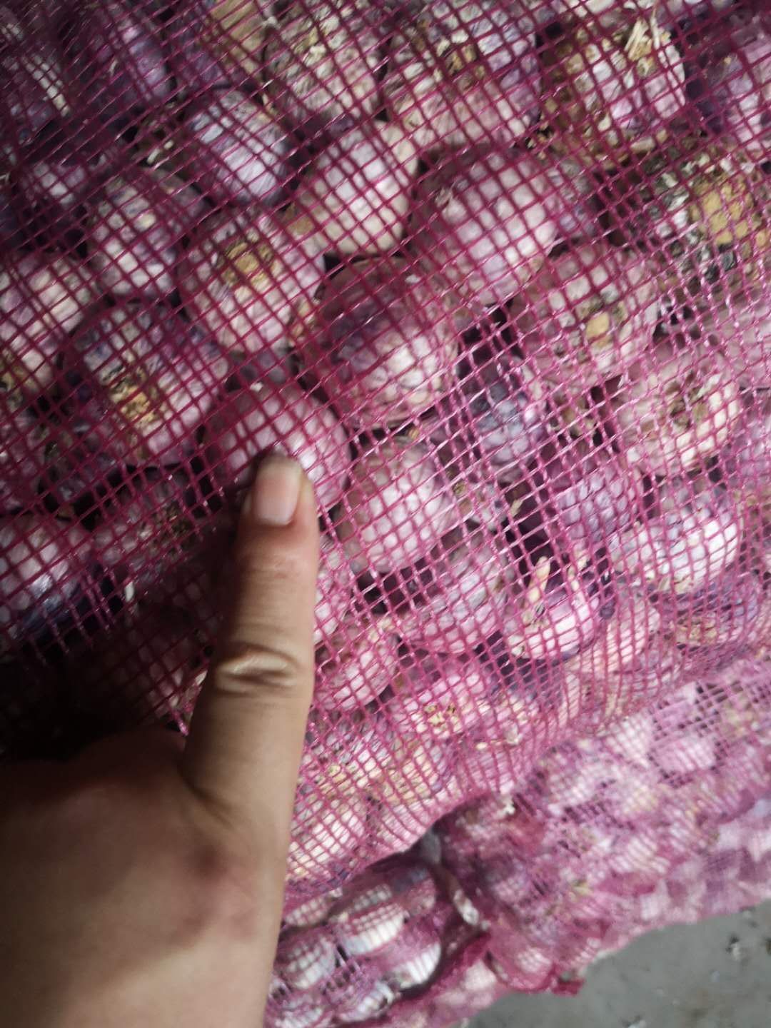 独头蒜  紫皮云南独头干蒜