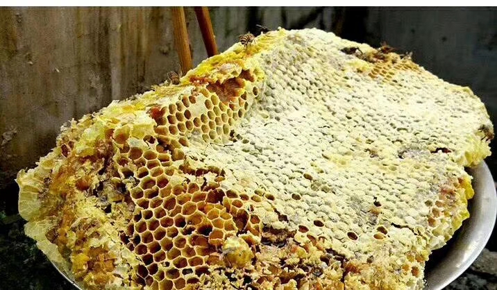  农家蜂蜜  百花蜜  农家自养的正宗蜂蜜