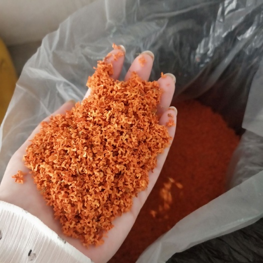 桂花茶  桂花瓣  桂花干2020年十月 特级桂花  新桂花上市