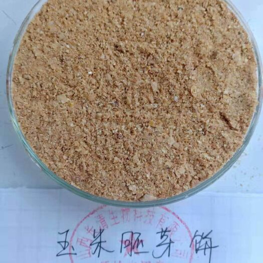 西安糟渣饲料 玉米胚芽饼