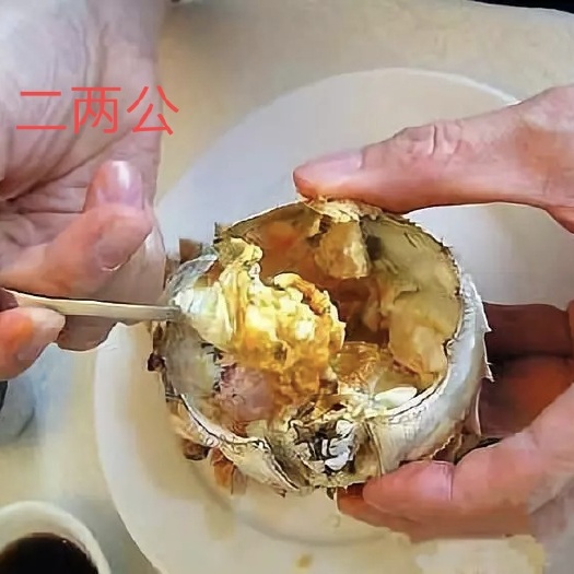 盘锦 盘锦自家稻田大闸蟹