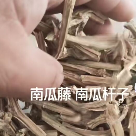 汝南县南瓜藤