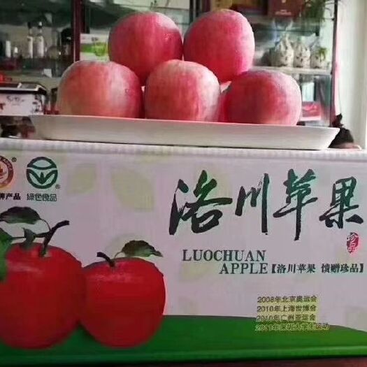 黄陵县洛川苹果 好吃