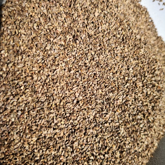茺蔚子 干货中药材 量大从优