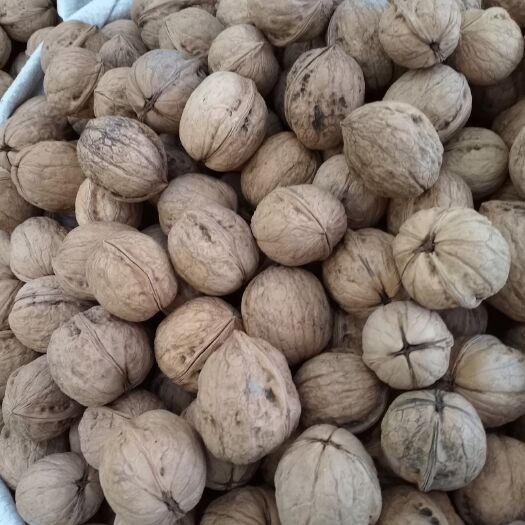 温宿县新疆185核桃  皮薄，香脆