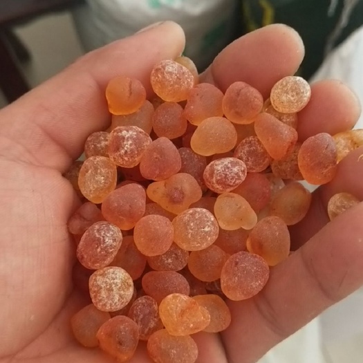 当涂县食用桃胶 有需要的可以联系我。