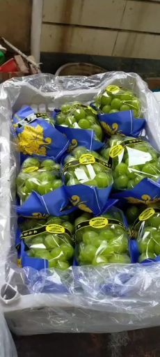 辛集市香印青提  香印阳光玫瑰
