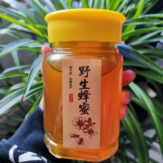 桓仁县土蜂蜜  东北辽宁桓仁深山纯中蜂封盖百花蜜