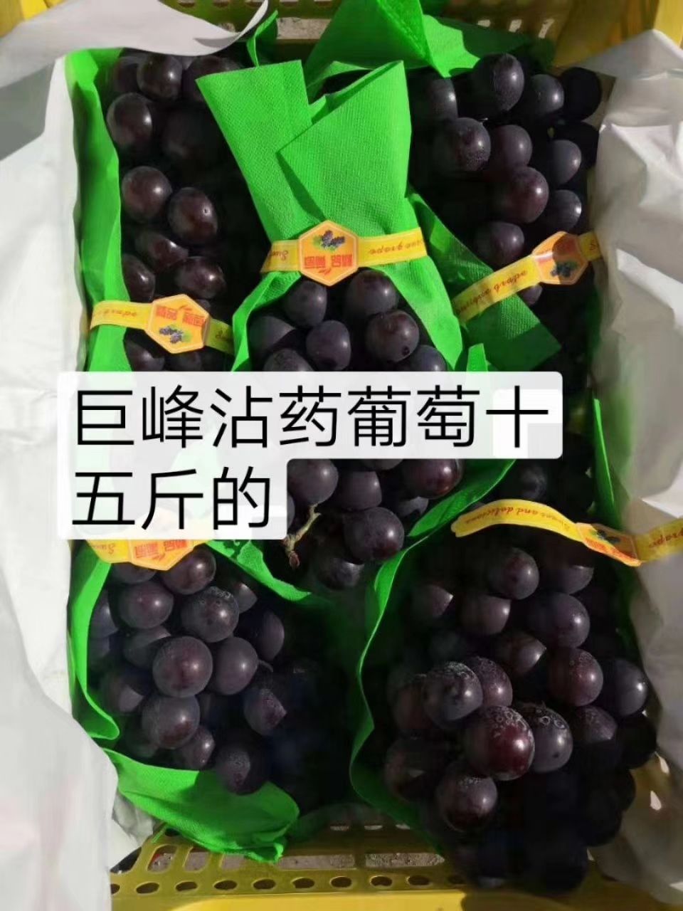  辽宁锦州北镇市，巨峰葡萄，辽峰葡萄，粒大色黑口甜货源充足