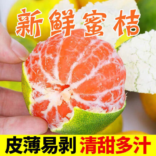 枝江市蜜桔  蜜橘皮薄多汁，肉质细腻，产地直销货源充足