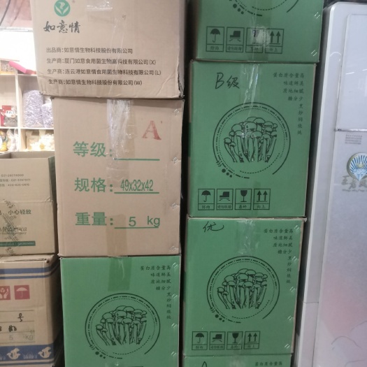 闽侯县鹿茸菇 量大品优  价格实惠