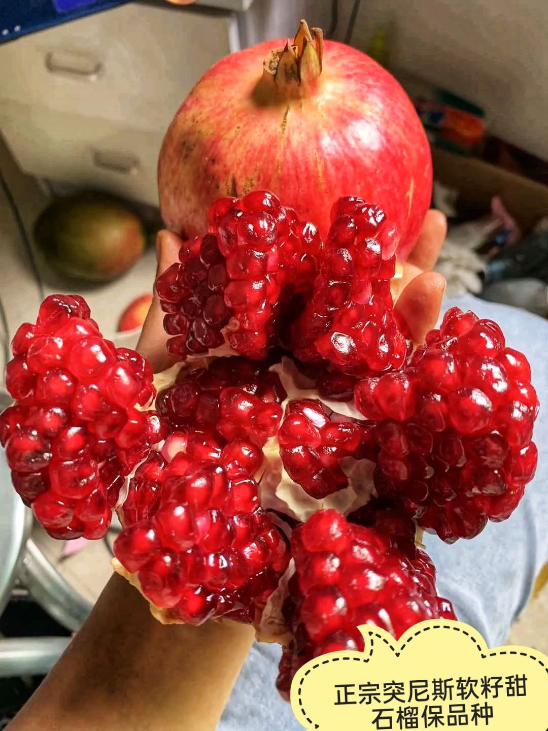 突尼斯软籽石榴树苗 突尼斯软籽石榴 保品种保质量现挖现发 可视频看货 假一赔十