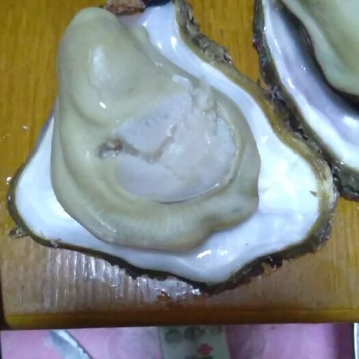 乳山市山东乳山牡蛎 乳山银泰附近得生蚝肥度杠杠得，味道非常鲜美