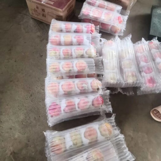 蒙自市石榴 云南省红河哈尼族彝族自治州蒙自市