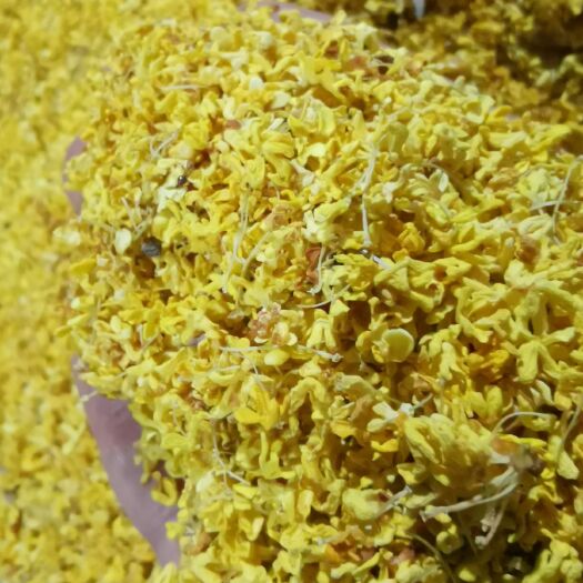 桂花茶  干桂花
