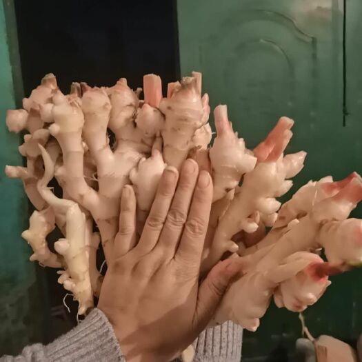 达州仔姜  红芽生姜，一件代发，无缝对接电商微商平台。