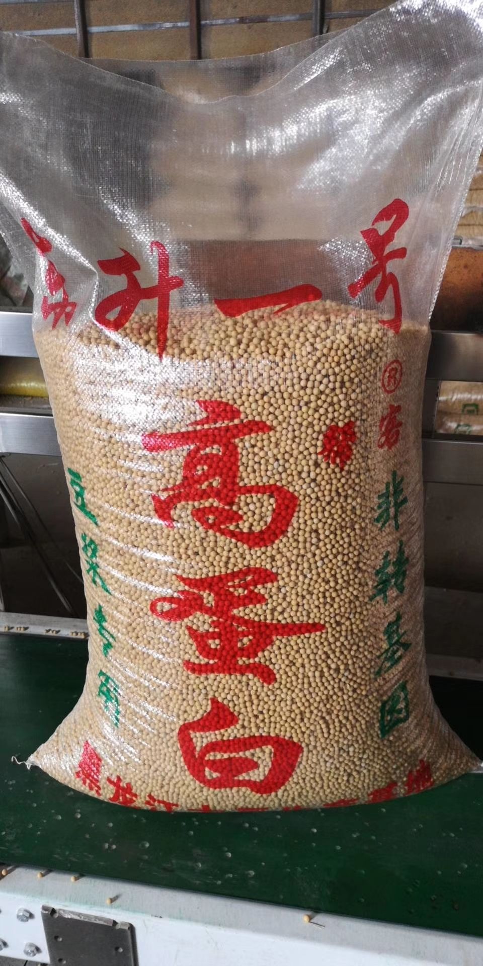 依安县东升一号芽豆，商品，蛋白41%以上，水分14个左右，四遍塔选