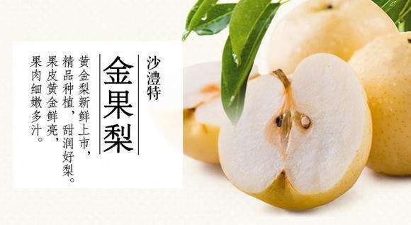 周口 金果梨苗，我方保证品种纯正。可签订合同。