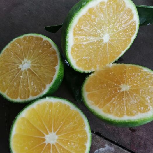 崇左红江橙