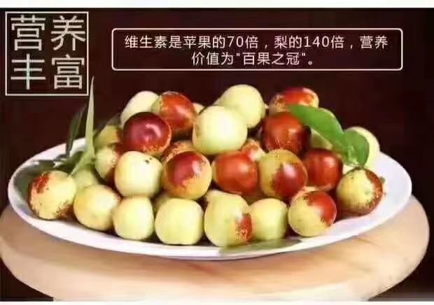 滨州 沾化冬枣