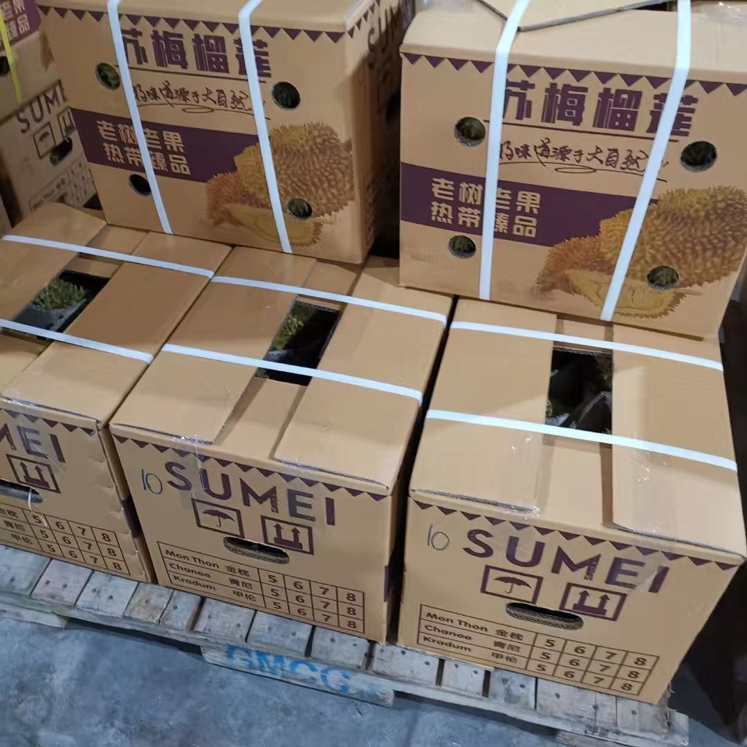 泰国金枕榴莲产地批发商