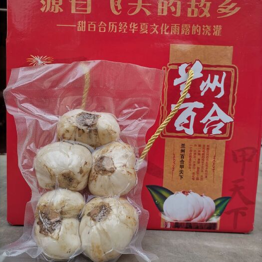 榆中县兰州鲜百合，当天真空包装，两头，一袋5-8两。