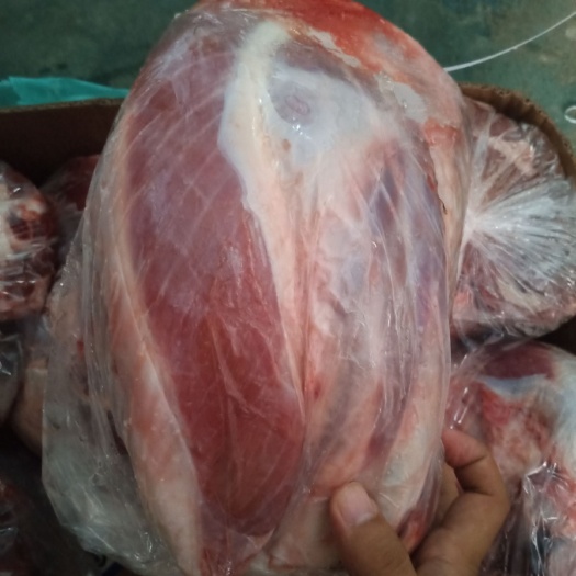 阳信县牛腱子 纯干高质量牛腱子 牛前键
