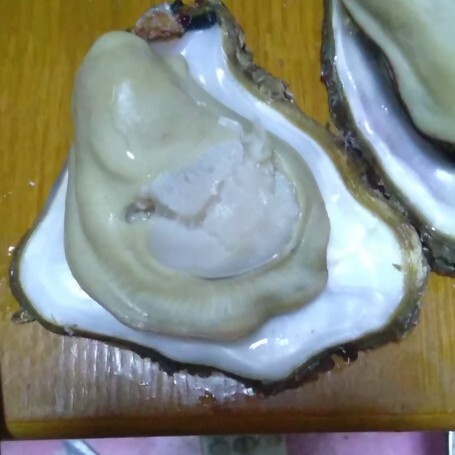 乳山市生蚝 海水 1-2两/只 鲜活水产 
