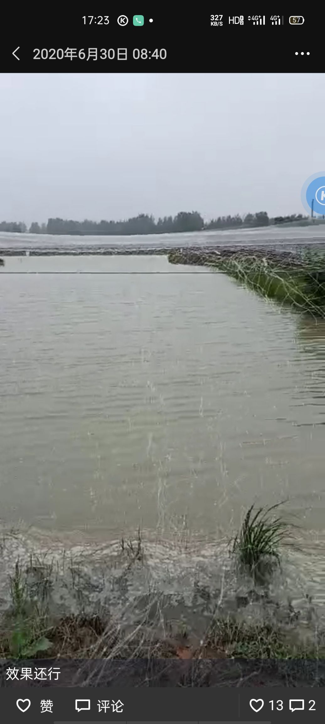 大鳞副泥鳅  优选品种，提供泥鳅种苗水花成品鳅，好养不钻泥