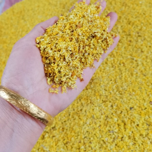 全州县桂花瓣
