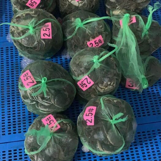 宜兴市 江苏精品大闸蟹 宜兴大闸蟹 鲜活螃蟹 清水蟹