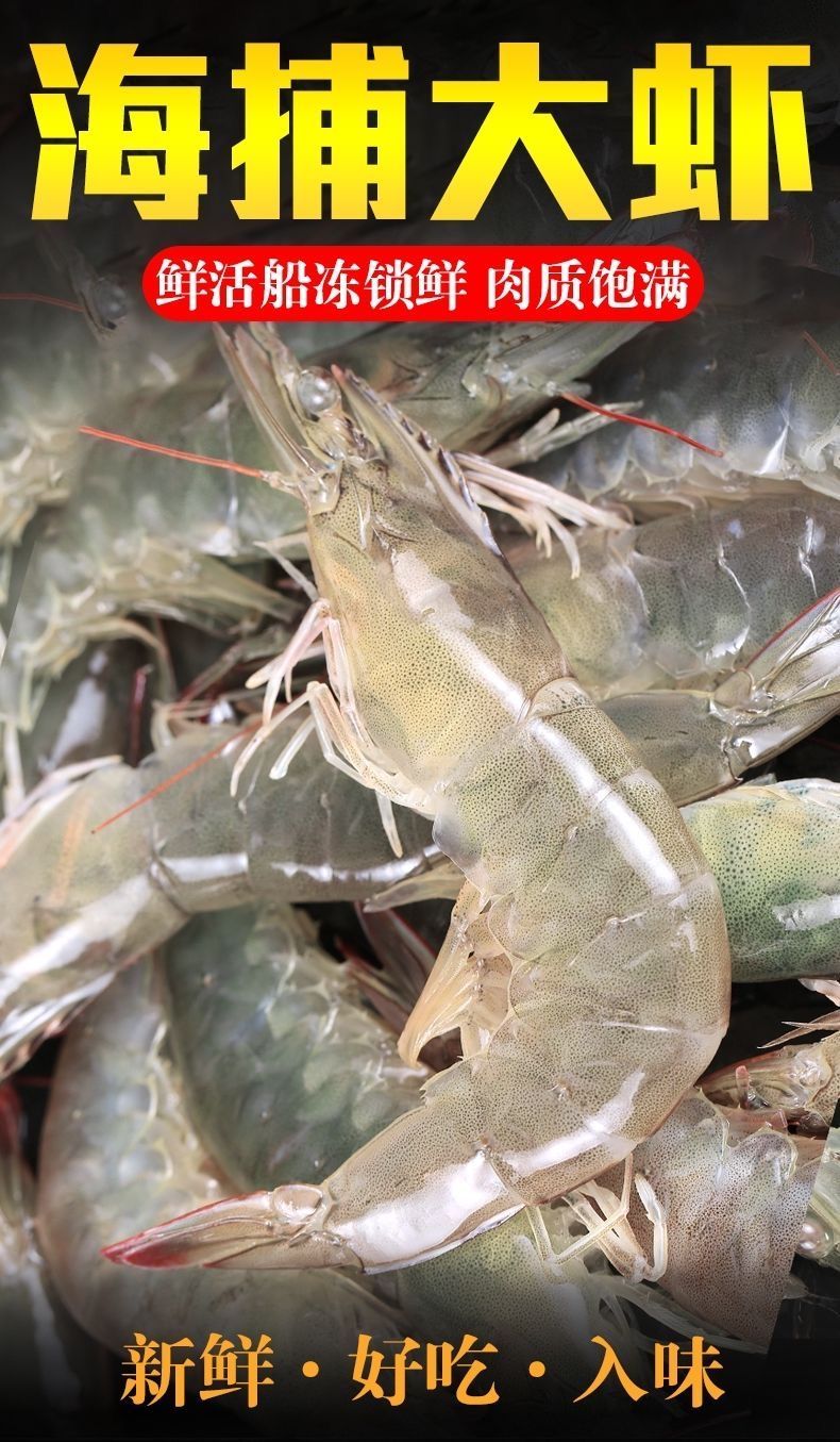 中国对虾  [顺丰包邮]青岛虾一箱大虾鲜活新鲜大虾超大海鲜批