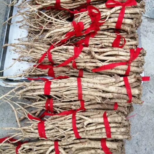 沁源县 无硫，高品质党参，山西潞党参，质量有保障