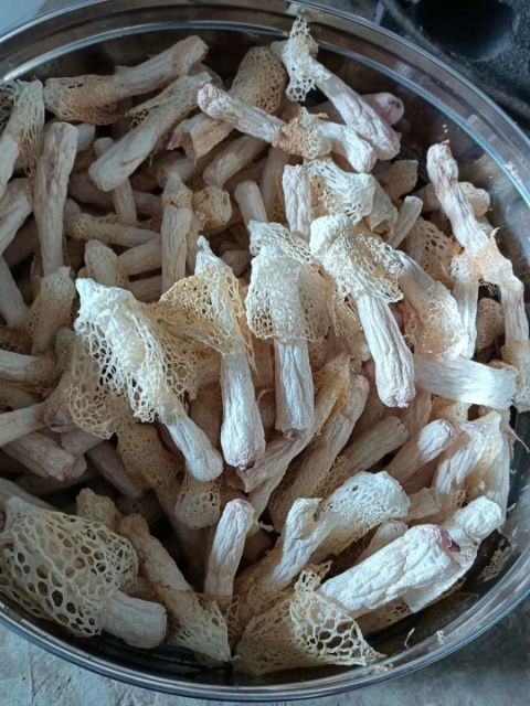 贞丰县红托竹荪  产地直销  量大质优