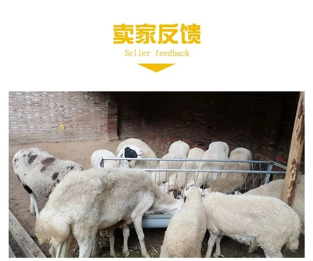 全国包邮养羊设备羊槽子带架子带草料架养羊用喂养喂羊槽食槽