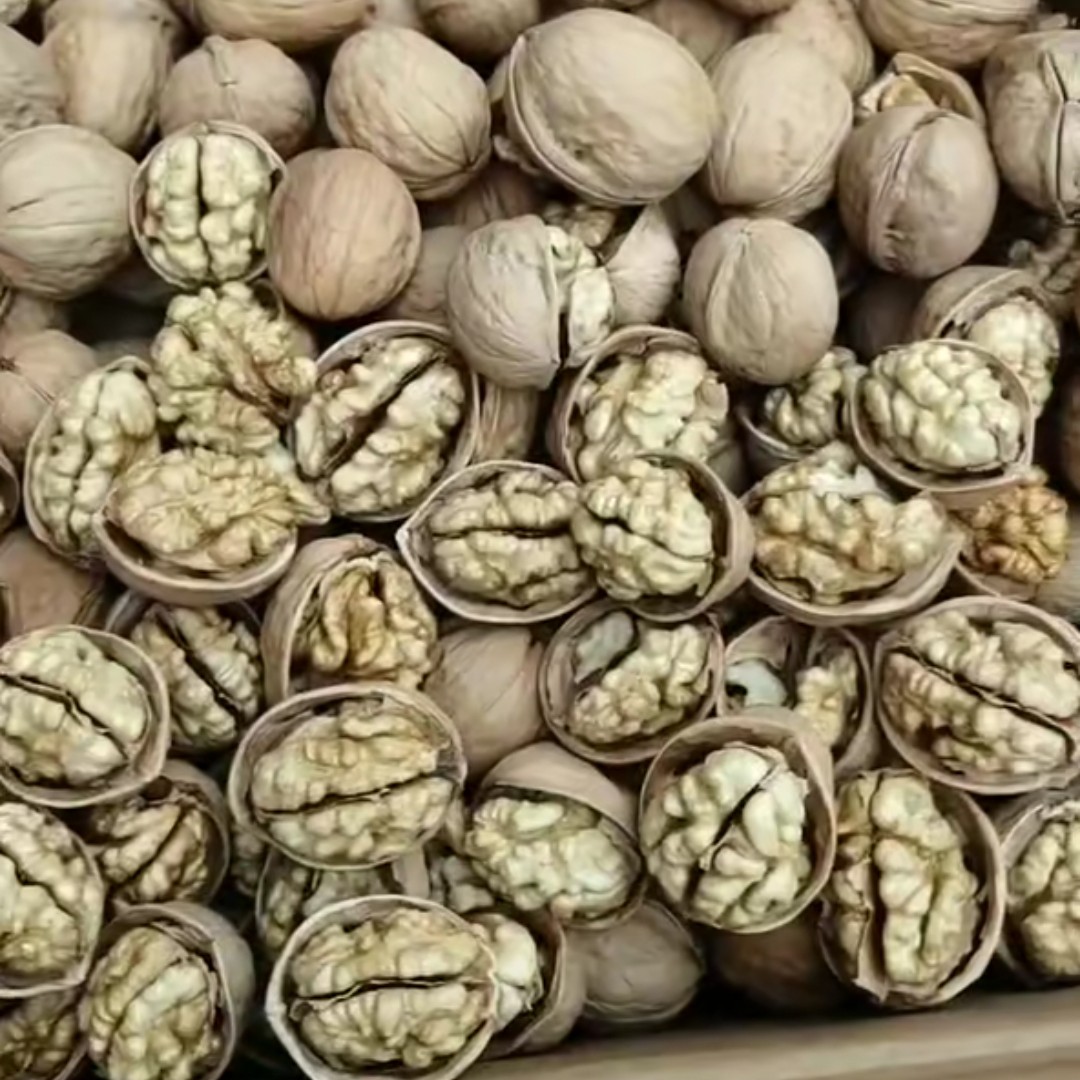 薄皮核桃  货新疆薄皮大核桃纸皮核桃批发