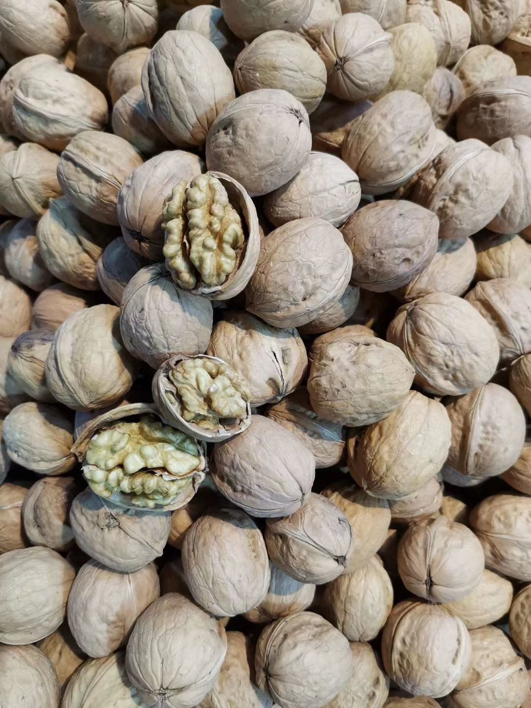 薄皮核桃  货新疆薄皮大核桃纸皮核桃批发