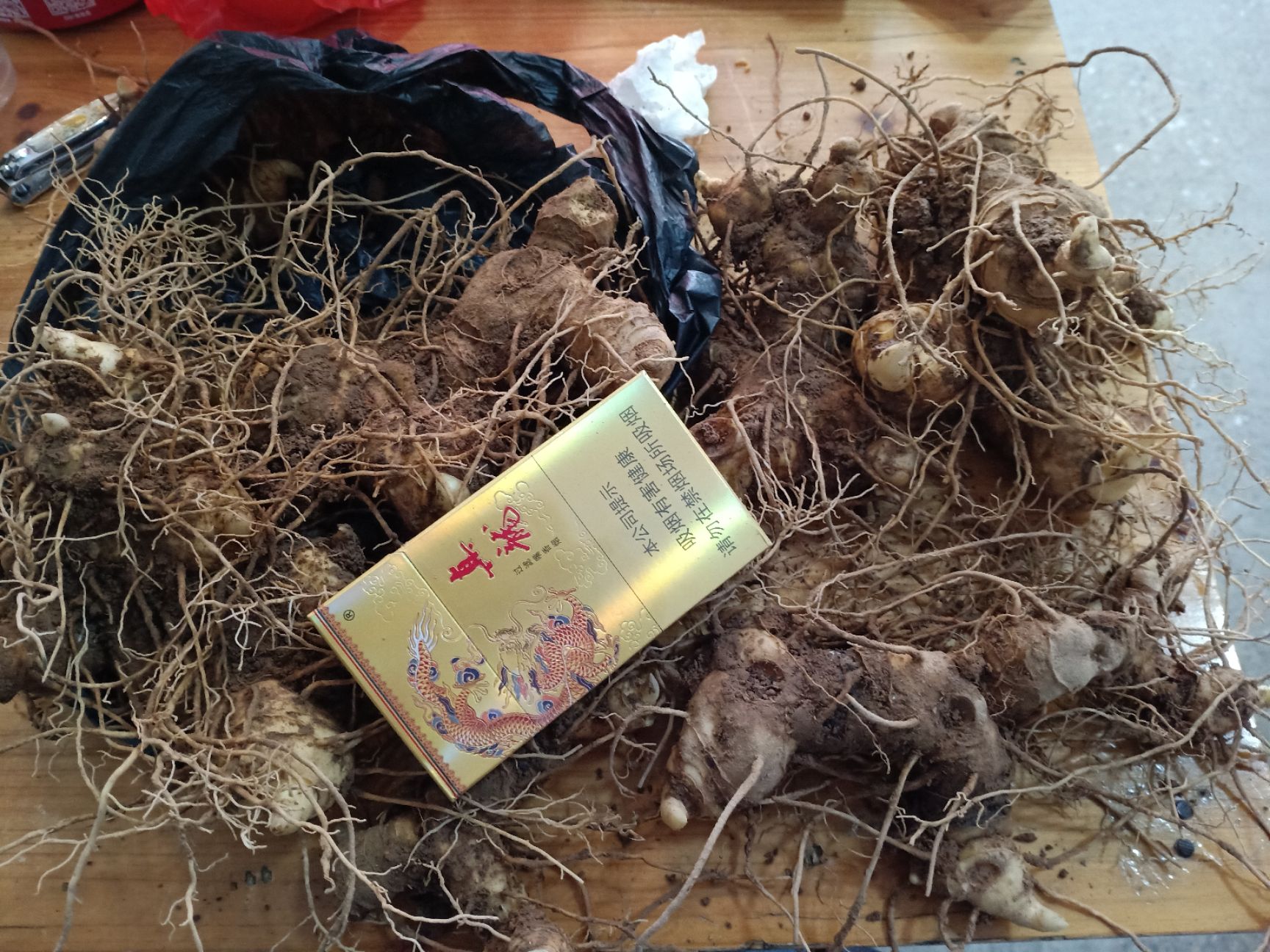 姜形黄精  我们的都是大山深处采挖