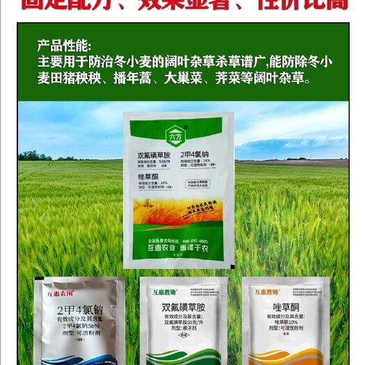 郑州 小麦除草剂-专除阔杂草